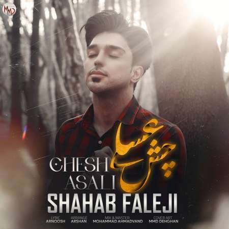 Shahab Faleji – Chesh Asali